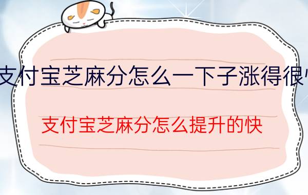 支付宝芝麻分怎么一下子涨得很快 支付宝芝麻分怎么提升的快？